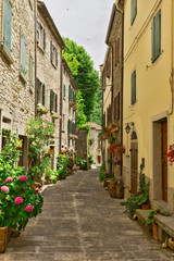 Fototapeta na wymiar Narrow street with flowers in Italy