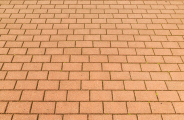 Obraz premium Red brick paving stones on a sidewalk