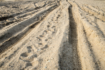 Fototapeta na wymiar Wheel tracks in the sand