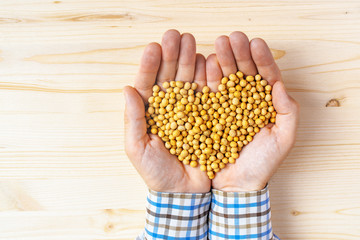 Obraz premium Handful of harvested soybeans heart-shaped pile, top view