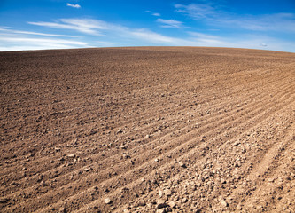 Agricultural background with plowed field and blue sky