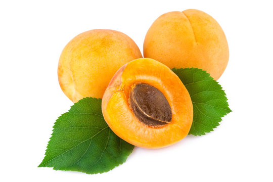 Fresh apricots with leaves isolated on white.