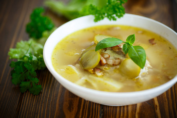 soup with pickled cucumbers