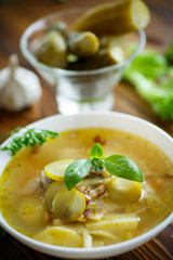 soup with pickled cucumbers