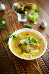 soup with pickled cucumbers
