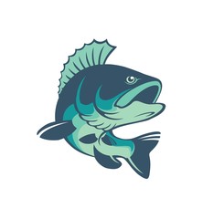 carp fish
