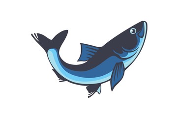 carp fish
