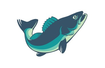 carp fish