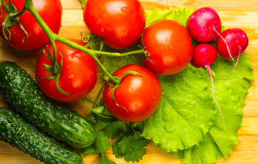 stilllife - tomatoes, cucumbers, lettuce