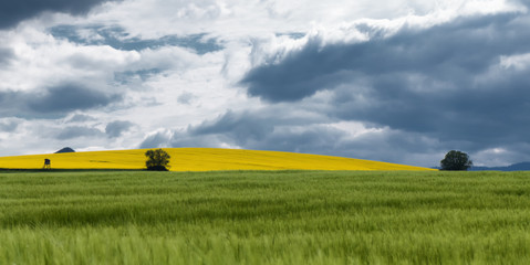 Corn field landscape © Jaroslav Moravcik