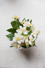 Bouquet of fresh white summer jasmine flowers