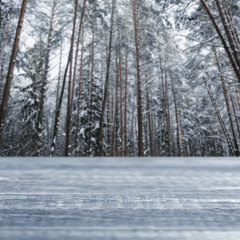 Perspective blurry winter background with forest