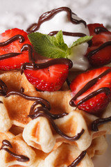 Belgian waffles with strawberries, whipped cream and chocolate macro. vertical
