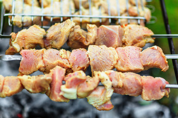 Pork shashlik