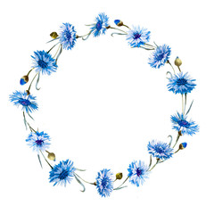 Obraz premium Cornflower watercolor wreath