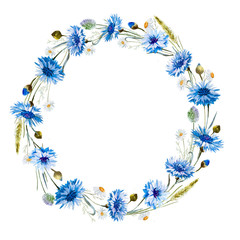 Cornflower watercolor wreath