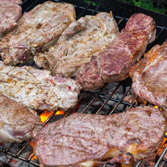 Leckere Sorten Fleisch auf dem Grill beim Grillabend mit Freunden