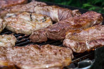 Leckere Sorten Fleisch auf dem Grill beim Grillabend mit Freunden