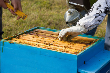 Beekeeper and beehives