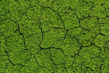 Details of a dried cracked earth soil with green grass textured background. Conceptual global...
