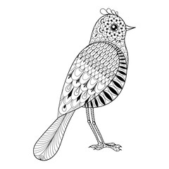 Hand drawn zentangle artistic Bird for adult antistress coloring