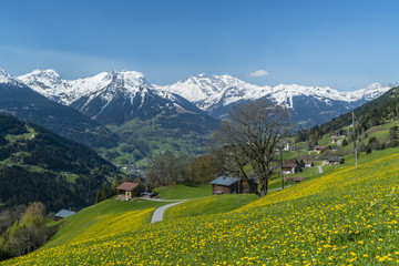 Plakat Frühling in den Alpen