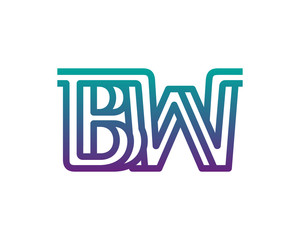 BW lines letter logo