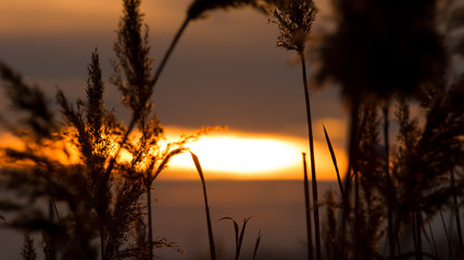 Sunset view