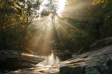 Flowing river, sunlight coming through surrounding trees