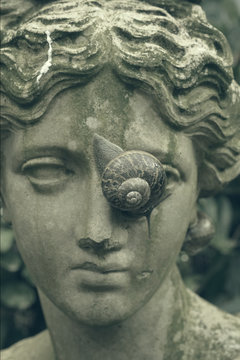 Statue with snail crawling across face