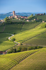 Panorama of Piedmont vineyards and Barbaresco town - obrazy, fototapety, plakaty