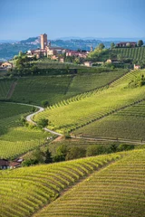 Fototapeten Panorama of Piedmont vineyards and Barbaresco town © javarman