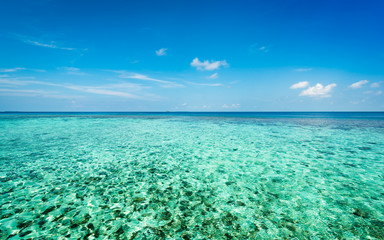 Turquoise water of the Indian Ocean. Corals on the sea floor. Maldives.