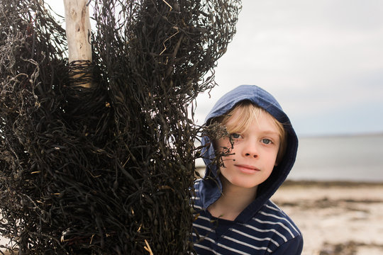 Young boy at beach, standing beside dried seaweed