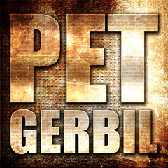pet gerbil, 3D rendering, metal text on rust background