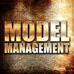 model management, 3D rendering, metal text on rust background
