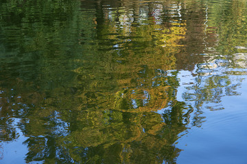 water surface with reflection of trees