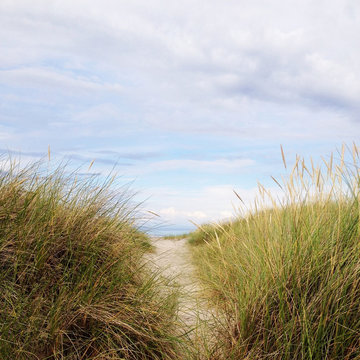 Coastal path on grassy sand dunes