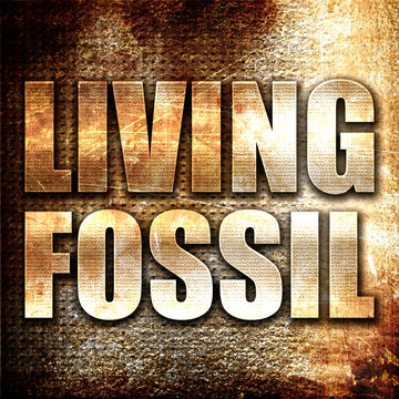 living fossil, 3D rendering, metal text on rust background