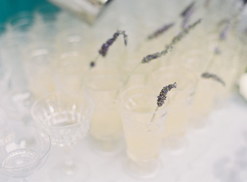 Lavender cocktails