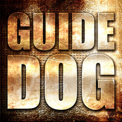 guide dog, 3D rendering, metal text on rust background