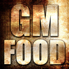 gm food, 3D rendering, metal text on rust background