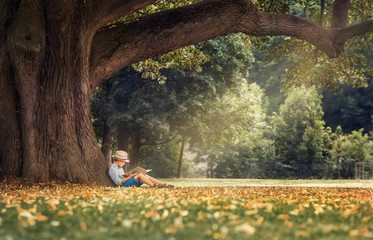 Little boy reading a book under big linden tree © Soloviova Liudmyla