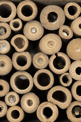 Fototapeta premium Insect hotel