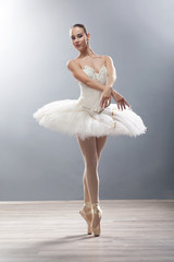young ballerina in ballet pose classical dance © V&P Photo Studio