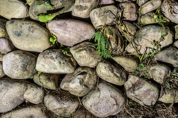 ancient stonewall with some plants