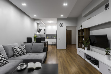 Spacious and modern apartment
