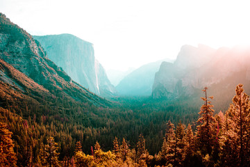 Forest and misty mountains bathed in sunlight