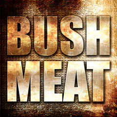 bushmeat, 3D rendering, metal text on rust background