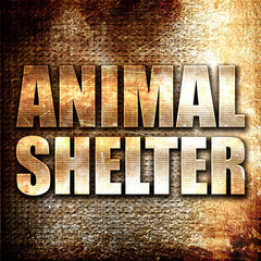 animal shelter, 3D rendering, metal text on rust background